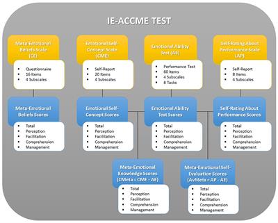 Beyond emotional intelligence: The new construct of meta-emotional intelligence